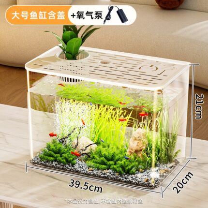 PET Fish Tank (Small)